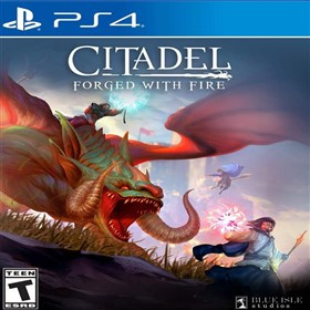 Citadel: Forged With Fire PS4