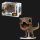 Funko POP! Movies Jurassic Park - Tyrannosaurus Rex (1211)