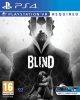 Blind VR (használt)