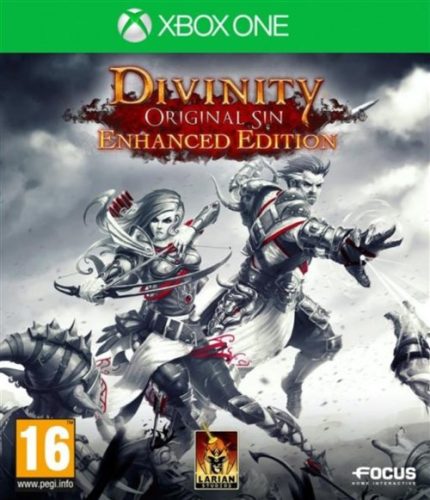 Divinity Original Sin Enhanced Edition (használt)