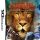 The Chronicles of Narnia The Lion, the Witch and the Wardrobe (használt)